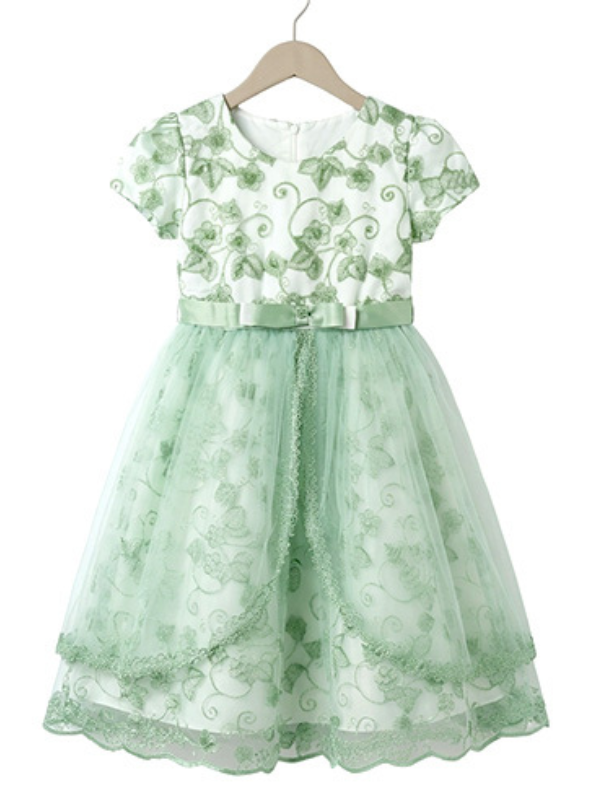 Baby Girl Floral Georgette Frock