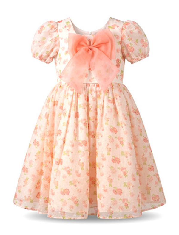 Baby Girl Floral Georgette Frock